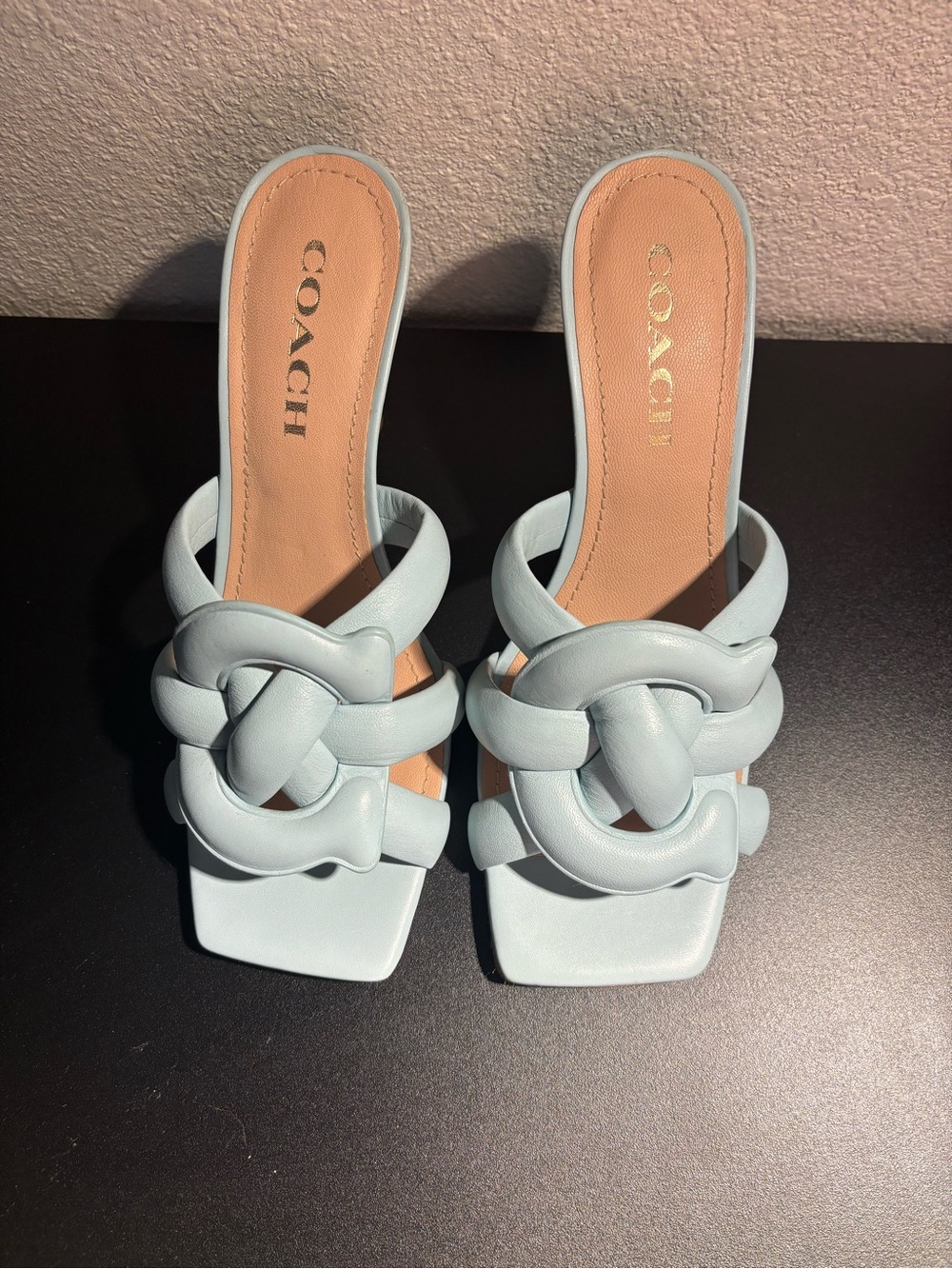 Coach Pale Blue Knotted Slide Heels